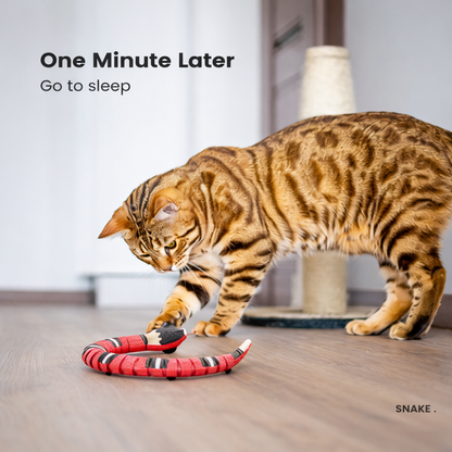 Interactive Smart Motion Snake Toy For Cats